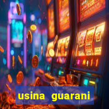 usina guarani tereos tanabi